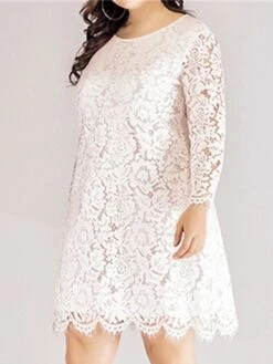 Women‘s Plus Size Curve Lace Dress Work Dress A Line Dress Solid Color Midi Dress Long Sleeve Lace Crew Neck Fashion Office Black White Spring Fall L XL XXL 3XL 4XL -HAYz Clothing Shop aaafpu1673001187698
