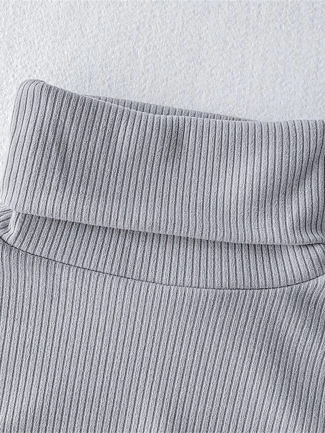 Women's Plus Size Curve Casual Dress Sweater Dress Bodycon Plain Midi Dress Long Sleeve Turtleneck Fashion Daily Black Wine Fall Winter XL XXL 3XL 4XL 5XL 5 Women's Plus Size Curve Casual Dress Sweater Dress Bodycon Plain Midi Dress Long Sleeve Turtleneck Fashion Daily Black Wine Fall Winter XL XXL 3XL 4XL 5XL - Image 5