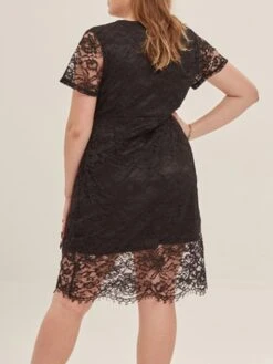 Women's Plus Size Curve Party Dress Lace Dress Cocktail Dress Midi Dress Black Pink Wine Short Sleeve Pure Color Lace Summer Spring Fall V Neck Fashion Birthday Wedding Guest Vacation XL XXL 3XL 4XL -HAYz Clothing Shop bvuasa1692165645216