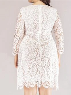Women‘s Plus Size Curve Lace Dress Work Dress A Line Dress Solid Color Midi Dress Long Sleeve Lace Crew Neck Fashion Office Black White Spring Fall L XL XXL 3XL 4XL -HAYz Clothing Shop cxqzol1673001188539