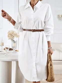 Women's Casual Dress Work Dress Shift Dress Mini Dress Outdoor Office Business Cotton Classic Modern Shirt Collar Button Pocket Long Sleeve Summer Spring Fall 2023 Loose Fit Black White Blue Pure -HAYz Clothing Shop dhalmg1688542174706