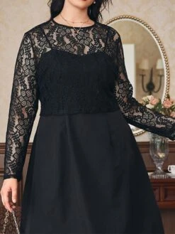 Women's Plus Size Curve Party Dress Lace Dress Black Dress Plain Midi Dress Long Sleeve Lace Crew Neck Fashion Party Black Fall Winter L XL XXL 3XL 4XL -HAYz Clothing Shop dyckov1694151478225