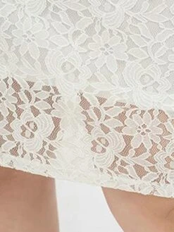 Women's Plus Size Party Dress Lace Dress Cocktail Dress Midi Dress White Short Sleeve Pure Color Lace Spring Fall Winter V Neck Fashion Birthday Wedding Guest Vacation 2023 XL XXL 3XL 4XL -HAYz Clothing Shop efoubp1693535470307