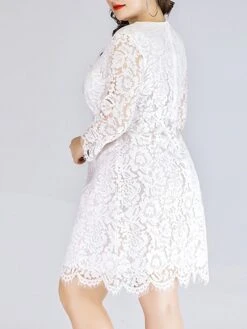 Women‘s Plus Size Curve Lace Dress Work Dress A Line Dress Solid Color Midi Dress Long Sleeve Lace Crew Neck Fashion Office Black White Spring Fall L XL XXL 3XL 4XL -HAYz Clothing Shop eowrnj1673001186892
