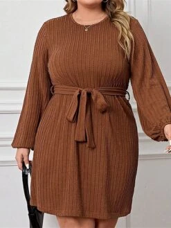Women's Plus Size Curve Casual Dress Winter Dress Knit Dress Plain Midi Dress Long Sleeve Lace Up Crew Neck Fashion Outdoor Brown Fall Winter XL XXL 3XL