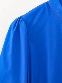 Women's Shirt Dress Casual Dress Mini Dress Outdoor Daily Polyester Basic Classic Stand Collar Ruffle Button Long Sleeve Fall Winter 2023 Loose Fit Blue Pure Color XS S M L -HAYz Clothing Shop hukgin1695367372692