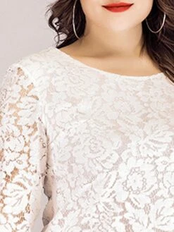 Women‘s Plus Size Curve Lace Dress Work Dress A Line Dress Solid Color Midi Dress Long Sleeve Lace Crew Neck Fashion Office Black White Spring Fall L XL XXL 3XL 4XL -HAYz Clothing Shop huuqce1673001192371