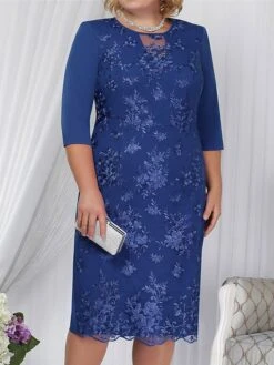 Women‘s Plus Size Curve Apple Shaped Dress Wedding Guest Lace Dress Work Dress Sheath Dress Floral Midi Dress Sleeve Lace Crew Neck Elegant Office Red Sky Blue Spring Summer Dress -HAYz Clothing Shop lxftvb1673503405917