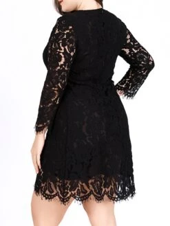 Women‘s Plus Size Curve Lace Dress Work Dress A Line Dress Solid Color Midi Dress Long Sleeve Lace Crew Neck Fashion Office Black White Spring Fall L XL XXL 3XL 4XL -HAYz Clothing Shop mgrvrr1691460713392
