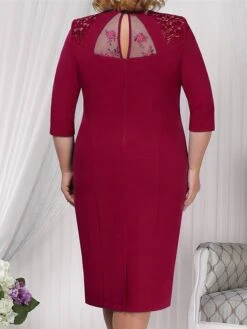 Women‘s Plus Size Curve Apple Shaped Dress Wedding Guest Lace Dress Work Dress Sheath Dress Floral Midi Dress Sleeve Lace Crew Neck Elegant Office Red Sky Blue Spring Summer Dress -HAYz Clothing Shop mknaff1673503409008