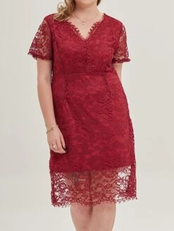 Women's Plus Size Curve Party Dress Lace Dress Cocktail Dress Midi Dress Black Pink Wine Short Sleeve Pure Color Lace Summer Spring Fall V Neck Fashion Birthday Wedding Guest Vacation XL XXL 3XL 4XL -HAYz Clothing Shop nmrijf1692165639836