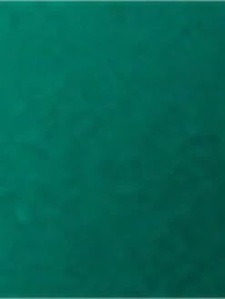 Women's Shirt Dress Casual Dress Sheath Dress Mini Dress Outdoor Daily Date Polyester Fashion Modern Shirt Collar Ruched Long Sleeve Fall Winter 2023 Regular Fit Green Pure Color S M L XL -HAYz Clothing Shop pdaqxk1697099260677