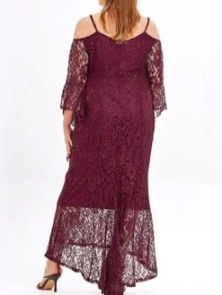 Women's Plus Size Prom Dress Party Dress Lace Dress Long Dress Maxi Dress Black Pink Wine Long Sleeve Pure Color Lace Spring Fall Winter Cold Shoulder Fashion Wedding Guest Birthday Evening Party 2023 -HAYz Clothing Shop pjibxr1693535478597