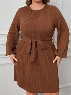 Women's Plus Size Curve Casual Dress Winter Dress Knit Dress Plain Midi Dress Long Sleeve Lace Up Crew Neck Fashion Outdoor Brown Fall Winter XL XXL 3XL -HAYz Clothing Shop pukjuu1694586717730