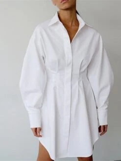 Women's Shirt Dress Casual Dress Mini Dress Outdoor Daily Date Polyester Fashion Basic Shirt Collar Button Long Sleeve Fall Winter 2023 Regular Fit Black White Brown Pure Color S M L -HAYz Clothing Shop pwwyrn1695644827362
