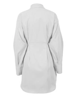 Women's Shirt Dress Casual Dress Mini Dress Outdoor Daily Date Polyester Fashion Basic Shirt Collar Button Long Sleeve Fall Winter 2023 Regular Fit Black White Brown Pure Color S M L -HAYz Clothing Shop qsxwiy1695644834208