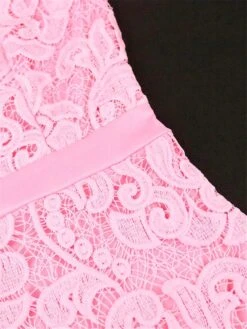 Women‘s Plus Size Curve Party Dress Lace Dress Cocktail Dress Midi Dress White Pink Long Sleeve Pure Color Lace Spring Fall Winter Stand Collar Fashion Wedding Guest Vacation Fall Dress 2023 -HAYz Clothing Shop qzwuaa1690946611770