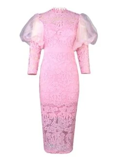 Women‘s Plus Size Curve Party Dress Lace Dress Cocktail Dress Midi Dress White Pink Long Sleeve Pure Color Lace Spring Fall Winter Stand Collar Fashion Wedding Guest Vacation Fall Dress 2023 -HAYz Clothing Shop sgpipk1690946609742