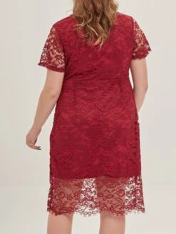 Women's Plus Size Curve Party Dress Lace Dress Cocktail Dress Midi Dress Black Pink Wine Short Sleeve Pure Color Lace Summer Spring Fall V Neck Fashion Birthday Wedding Guest Vacation XL XXL 3XL 4XL -HAYz Clothing Shop twgzye1692165641429