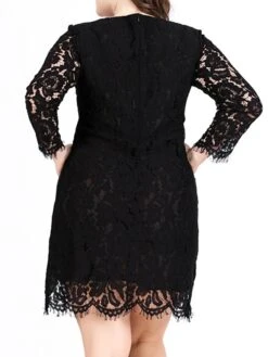 Women‘s Plus Size Curve Lace Dress Work Dress A Line Dress Solid Color Midi Dress Long Sleeve Lace Crew Neck Fashion Office Black White Spring Fall L XL XXL 3XL 4XL -HAYz Clothing Shop uamecg1691460717931