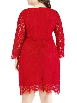 Women‘s Plus Size Curve Lace Dress Work Dress A Line Dress Solid Color Midi Dress Long Sleeve Lace Crew Neck Fashion Office Black White Spring Fall L XL XXL 3XL 4XL -HAYz Clothing Shop waxhtc1673001185241