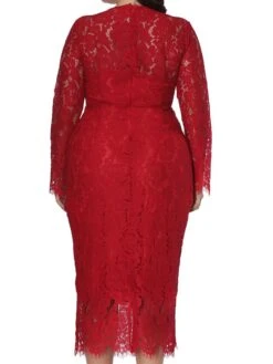 Women‘s Plus Size Curve Party Dress Solid Color Crew Neck Lace Long Sleeve Fall Spring Prom Dress Maxi Long Dress Party Vacation Dress Cotton -HAYz Clothing Shop wdrgmf1660209284700