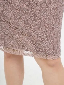 Women's Plus Size Party Dress Lace Dress Cocktail Dress Midi Dress Pink Long Sleeve Pure Color Lace Spring Fall Winter Off Shoulder Fashion Birthday Wedding Guest Vacation 2023 XL XXL 3XL 4XL 20 Women's Plus Size Party Dress Lace Dress Cocktail Dress Midi Dress Pink Long Sleeve Pure Color Lace Spring Fall Winter Off Shoulder Fashion Birthday Wedding Guest Vacation 2023 XL XXL 3XL 4XL -HAYz Clothing Shop ynrtdf1693535473116