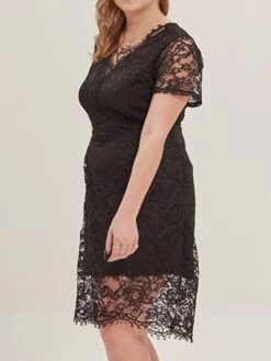 Women's Plus Size Curve Party Dress Lace Dress Cocktail Dress Midi Dress Black Pink Wine Short Sleeve Pure Color Lace Summer Spring Fall V Neck Fashion Birthday Wedding Guest Vacation XL XXL 3XL 4XL -HAYz Clothing Shop zlpwov1692165643758